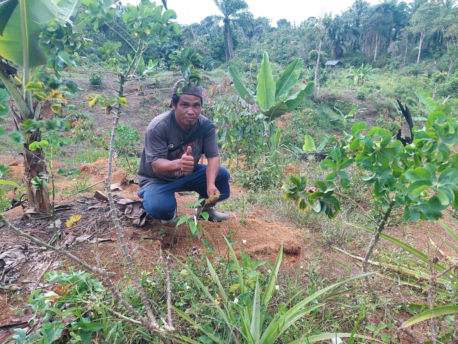 Aceh Landscape
